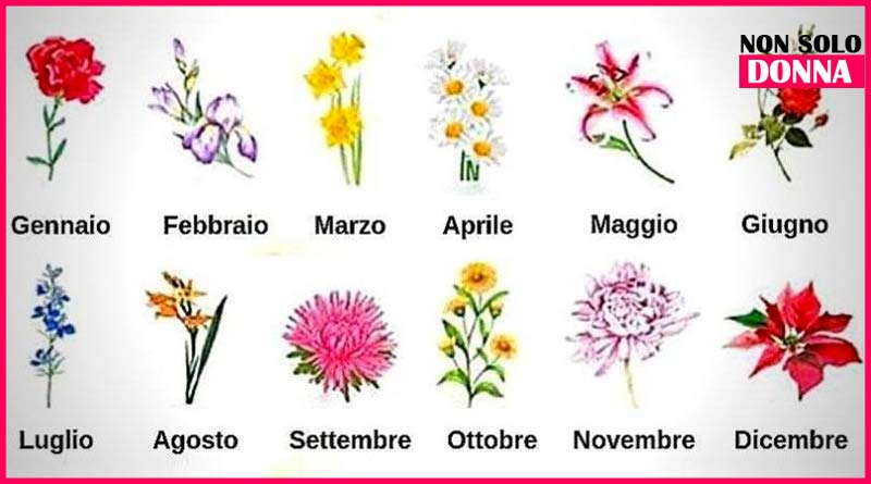 il fiore del tuo mese di nascita