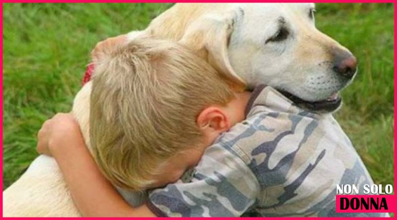 protezione degli animali