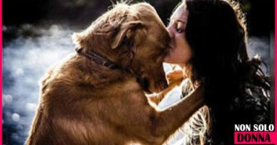 Chi ha un animale domestico in casa è una persona migliore, lo dice la scienza un animale domestico