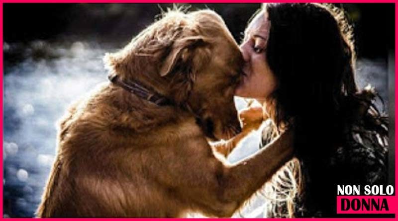 un animale domestico