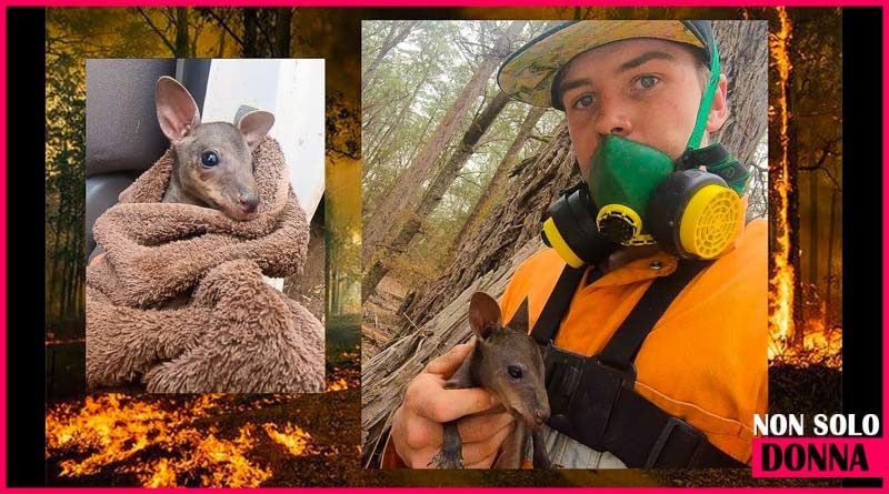 incendio in australia